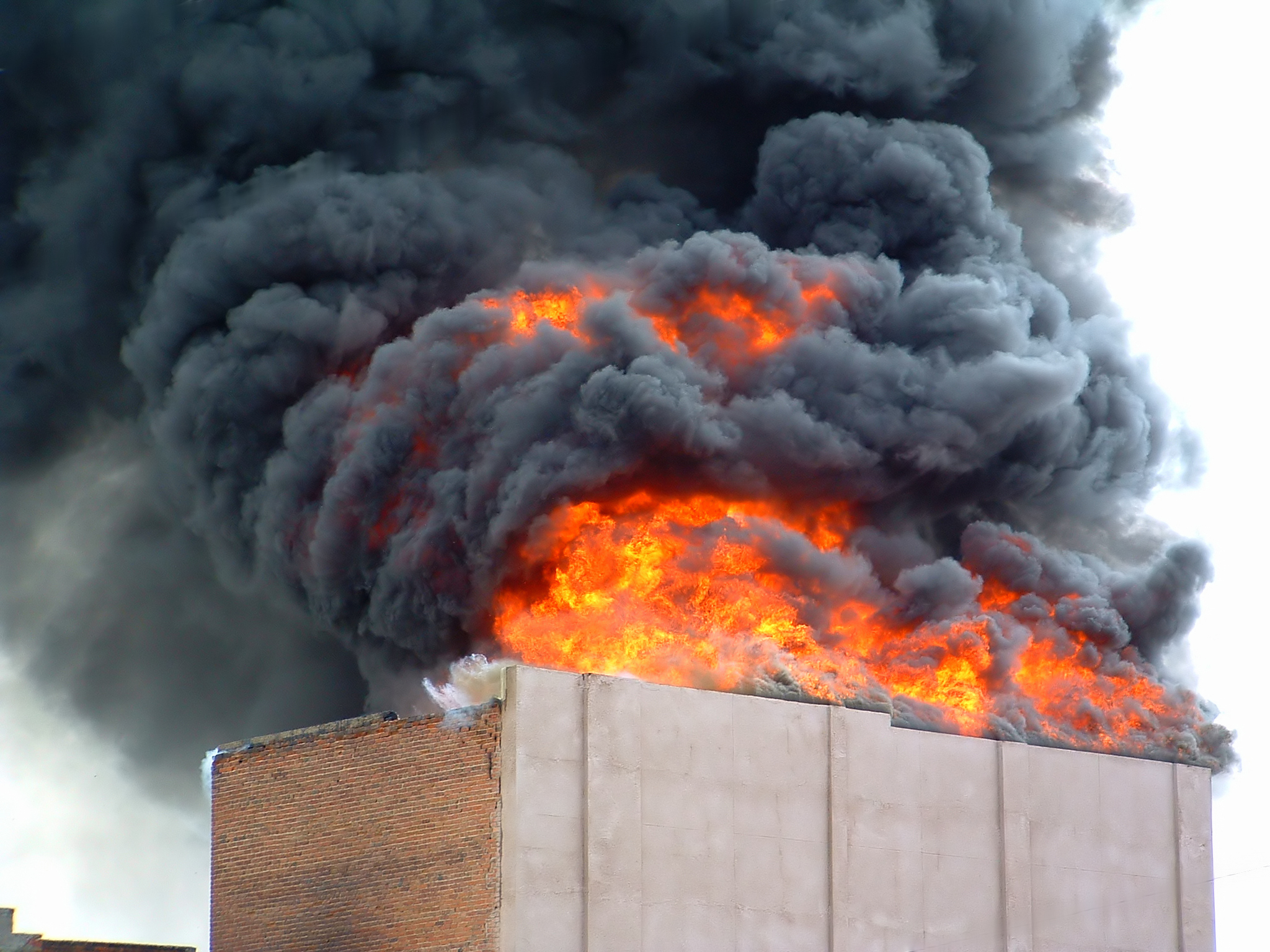 Dual technology fire and smoke detection system